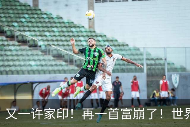 又一许家印！再一首富崩了！世界500强是骗来的，千亿帝国归零