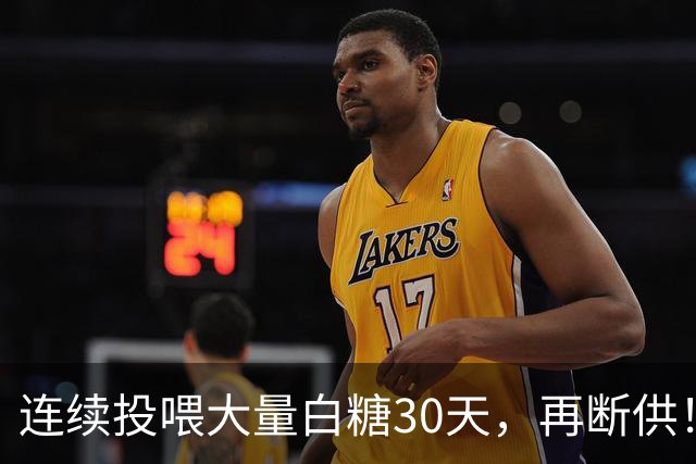 连续投喂大量白糖30天，再断供！国外网红扮“蚂蚁天神”整蛊野生蚁群